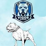 Immagine di Asd atletic Orobica